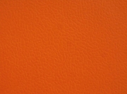 m_25-67229275.jpg